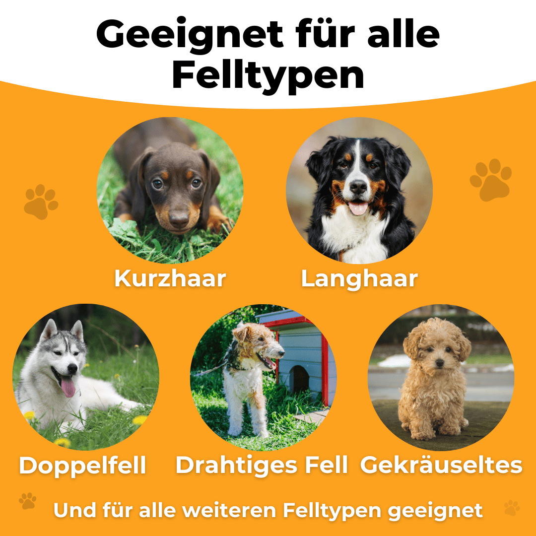 Fellwunder Bürste - Der Bestseller