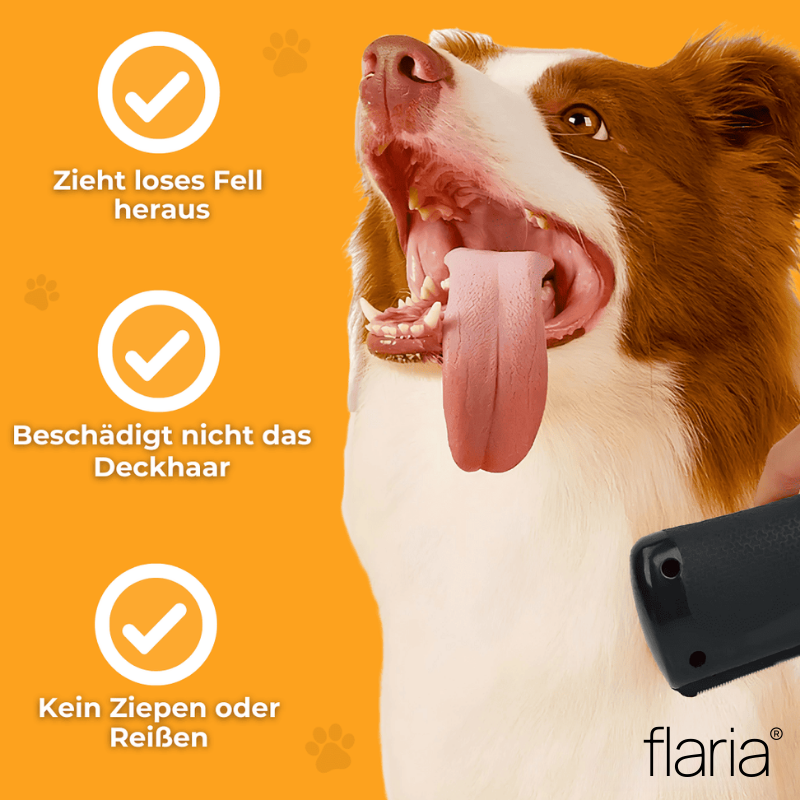 Fellwunder Bürste - Der Bestseller
