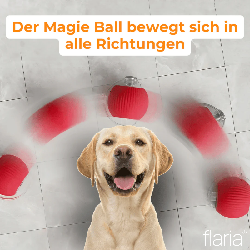 MagieBall - Der Bestseller