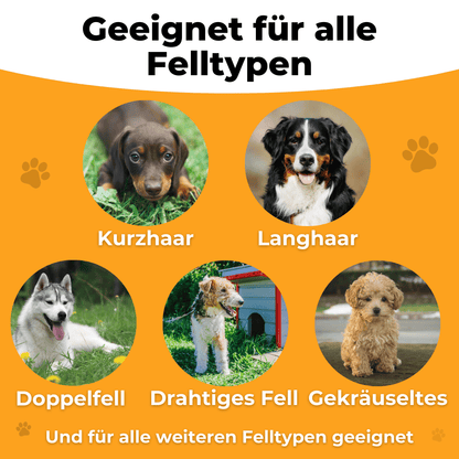Fellwunder Bürste  - Der Bestseller