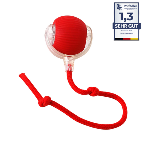 MagieBall - Der Bestseller