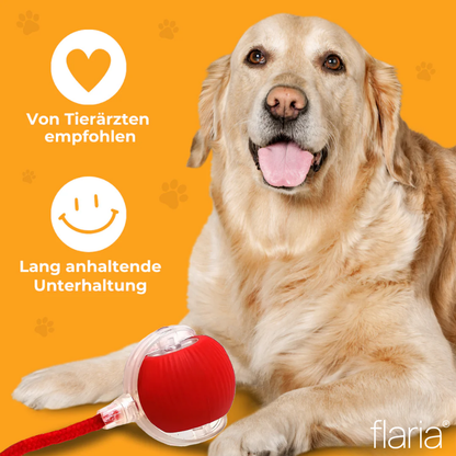 MagieBall - Der Bestseller