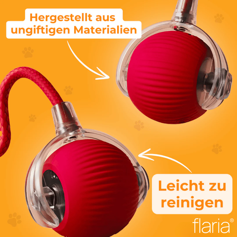 MagieBall - Der Bestseller